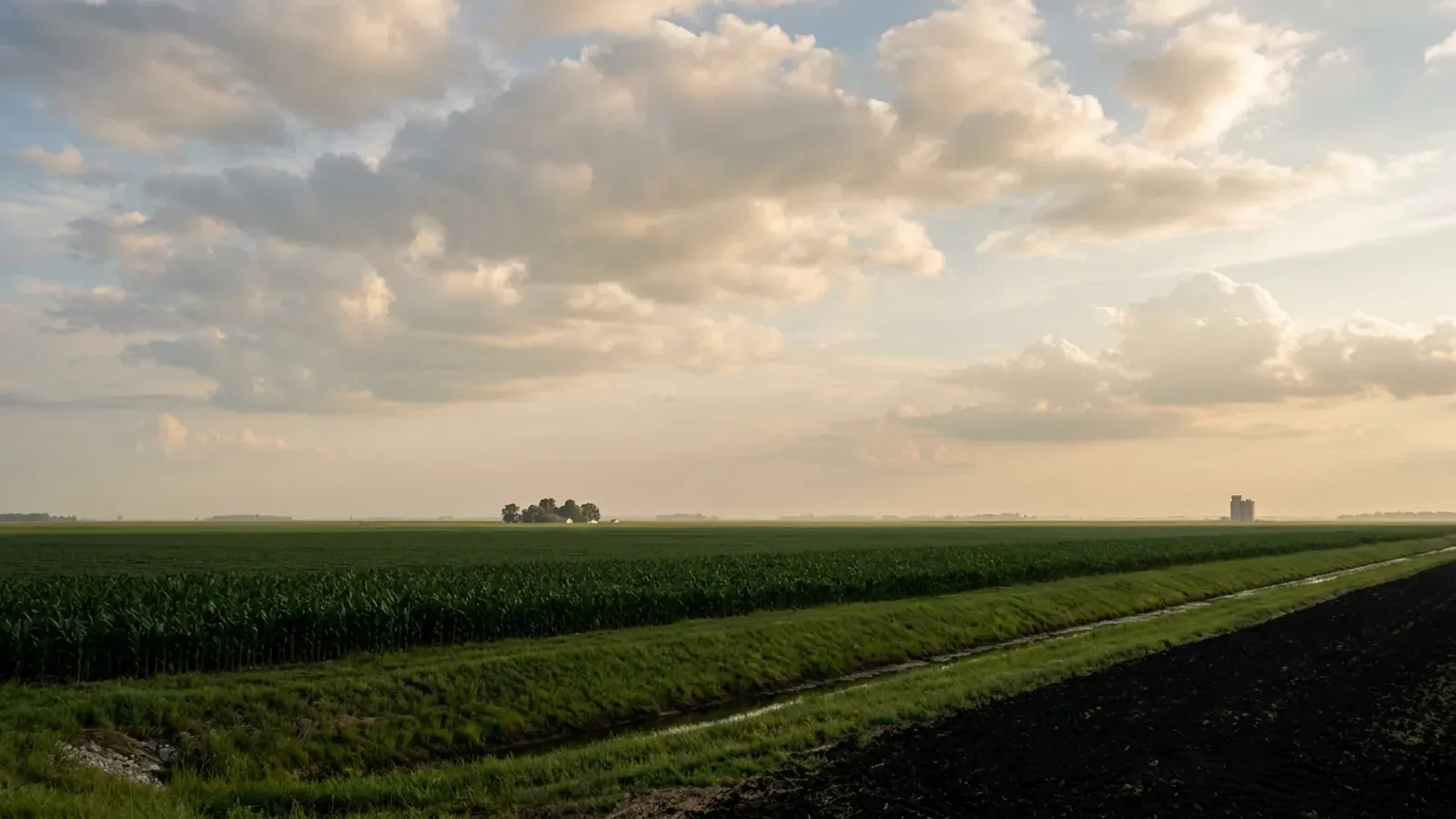 Dead-flat east-central Illinois cropland on black soil running to a straight horizon, with a drainage ditch and a distant grain elevator.